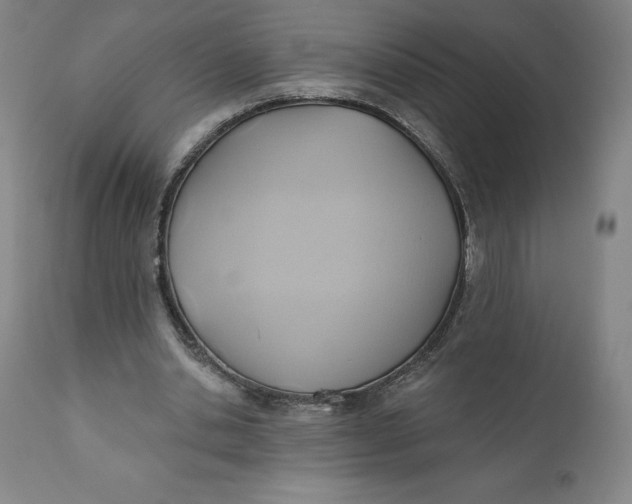 X0000110680438200907021914