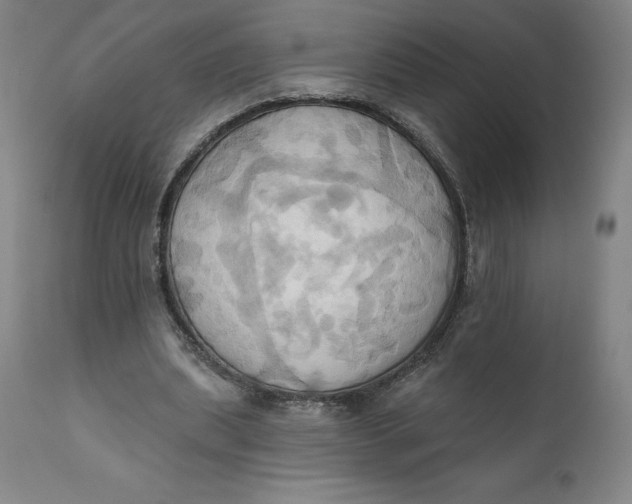 X0000110680439200907021914