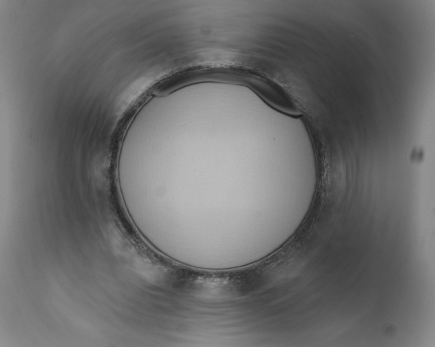 X0000110680440200907021914