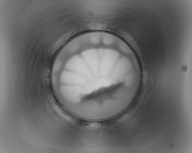 X0000110680441200907021914