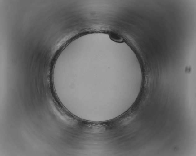 X0000110680443200907021914