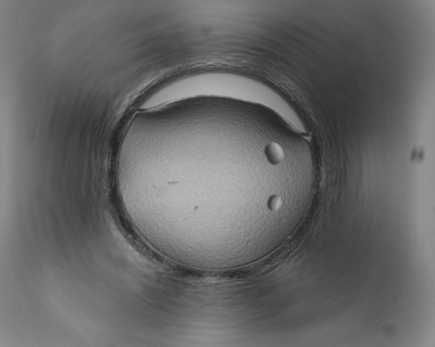 X0000110680444200907021914