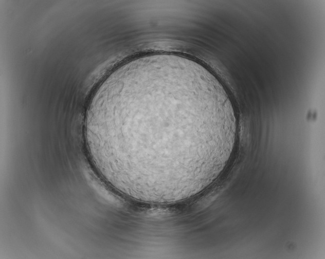 X0000110680445200907021914