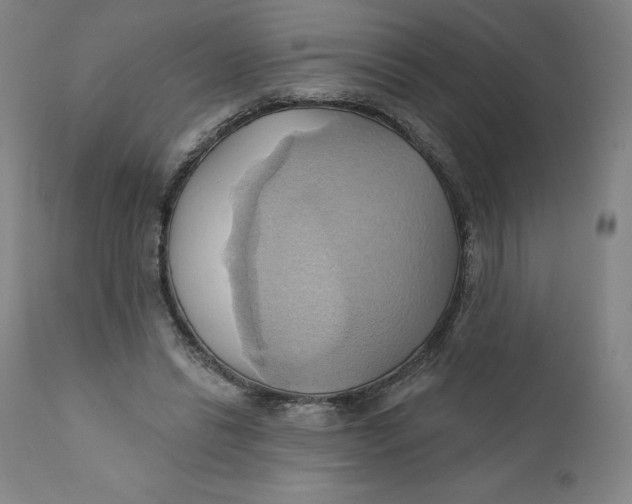X0000110680446200907021914