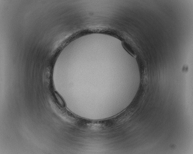 X0000110680448200907021914