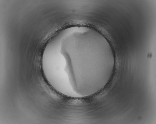 X0000110680449200907021914