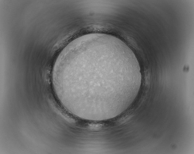 X0000110680450200907021914