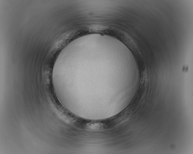 X0000110680452200907021914