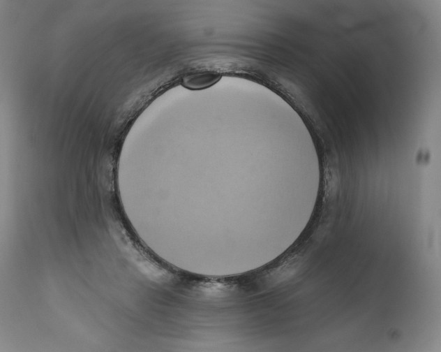 X0000110680453200907021914