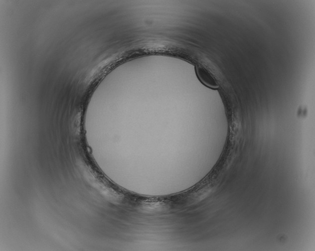 X0000110680454200907021914