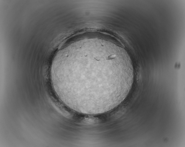 X0000110680455200907021914