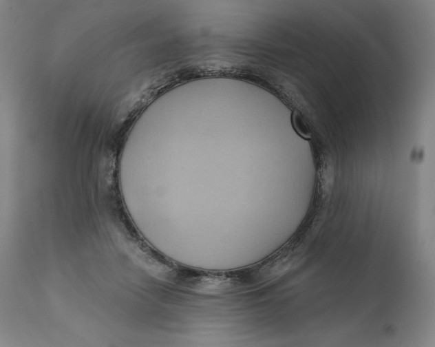 X0000110680458200907021914