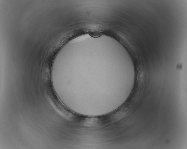 X0000110680459200907021914
