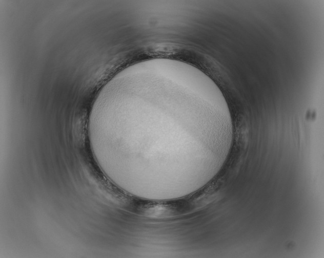 X0000110680460200907021914