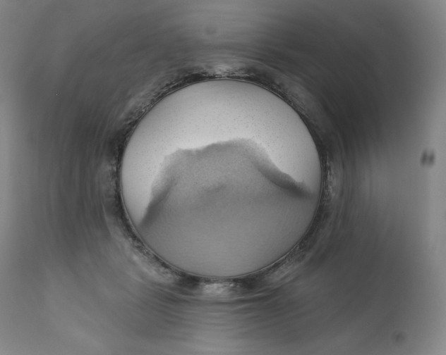 X0000110680461200907021914