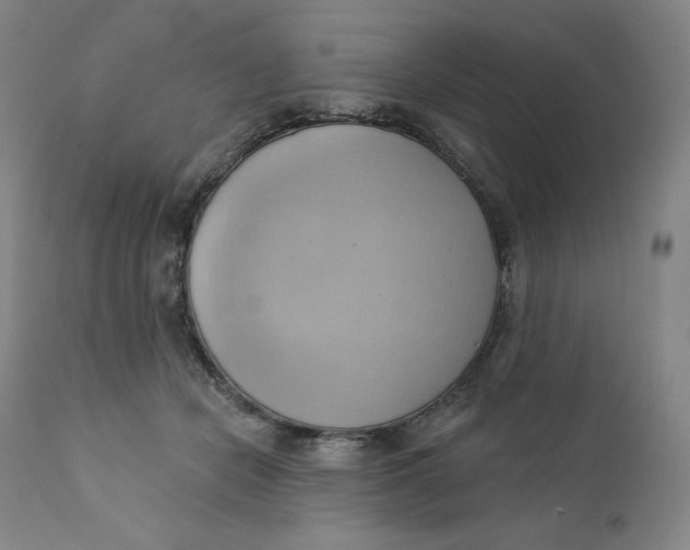 X0000110680462200907021914
