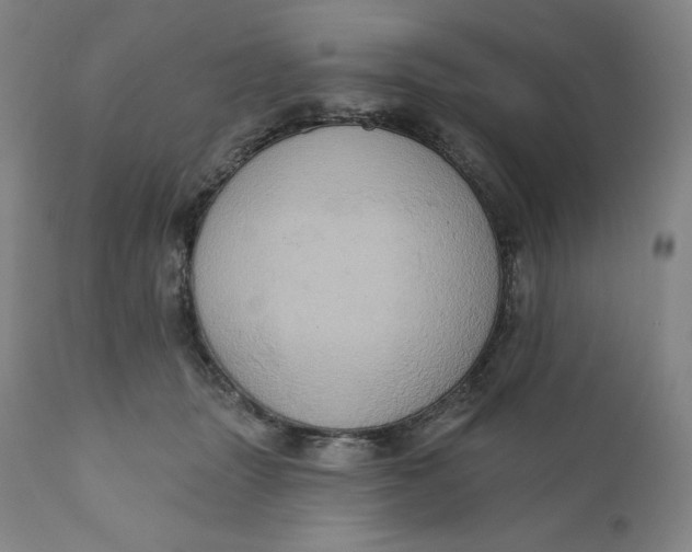 X0000110680463200907021914