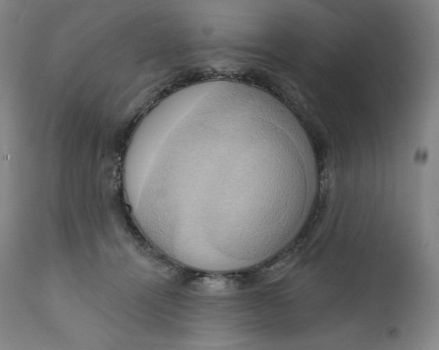 X0000110680464200907021914