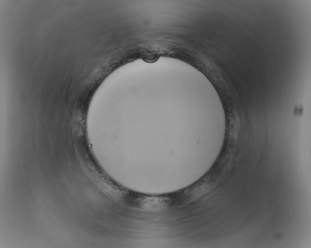 X0000110680465200907021914