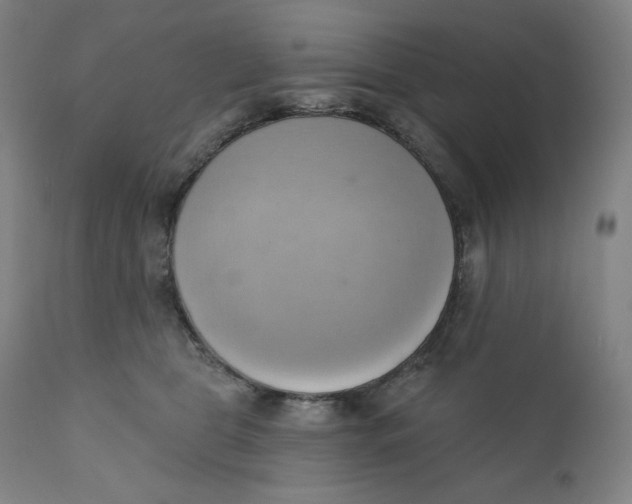 X0000110680469200907021914