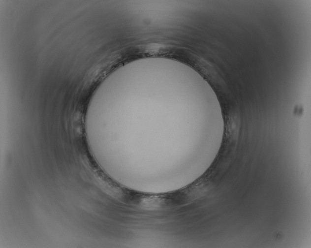 X0000110680470200907021914