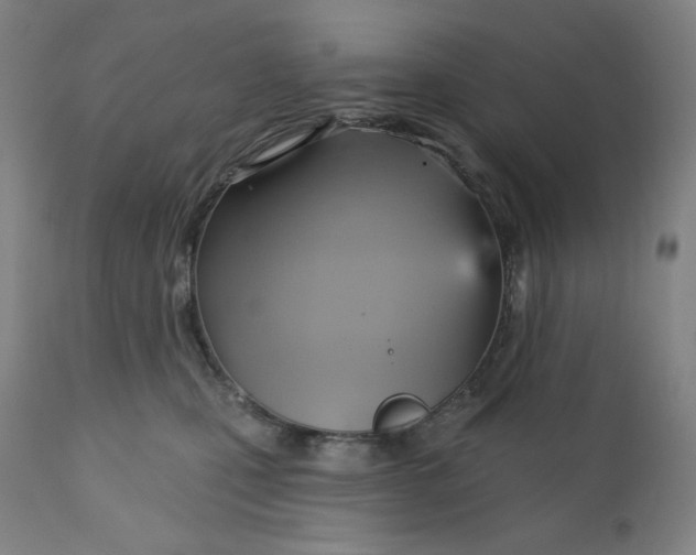 X0000110680471200907021914