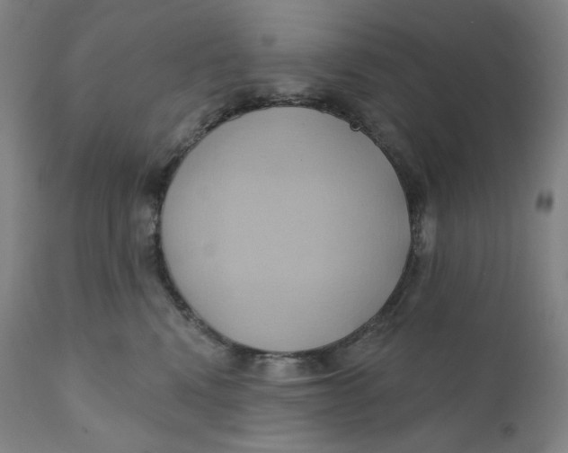 X0000110680472200907021914