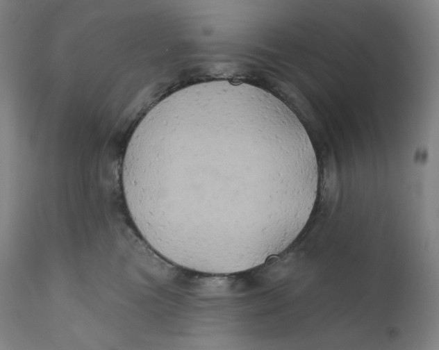 X0000110680473200907021914