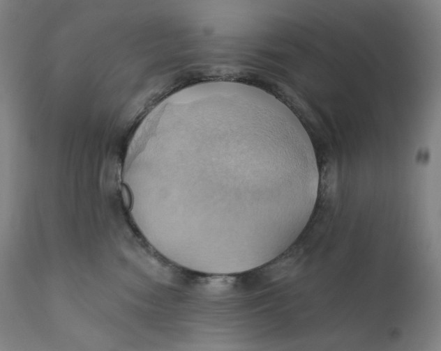 X0000110680474200907021914