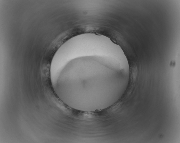 X0000110680475200907021914