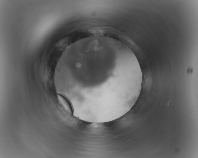 X0000110680477200907021915