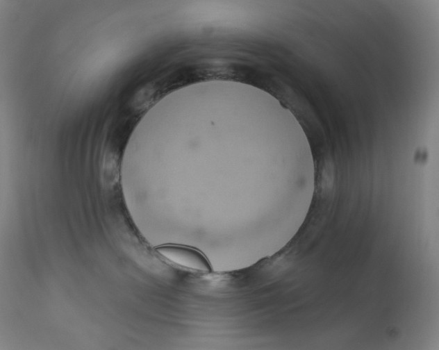 X0000110680478200907021915