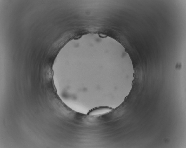 X0000110680479200907021915