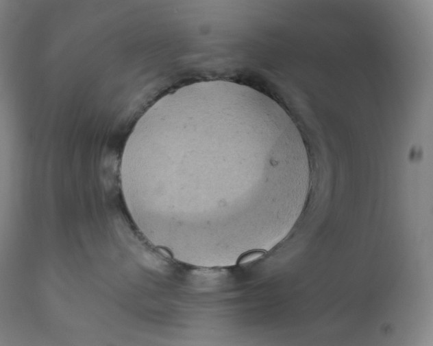 X0000110680480200907021915