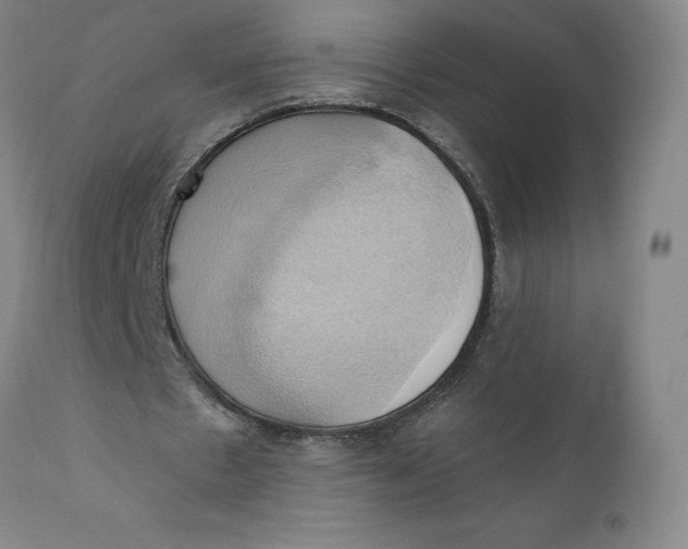 X0000110680481200907021914