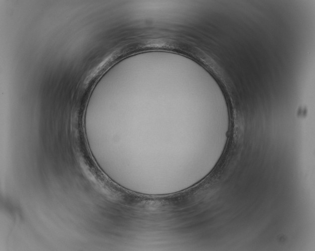 X0000110680482200907021914