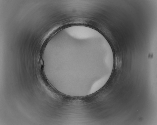 X0000110680483200907021914
