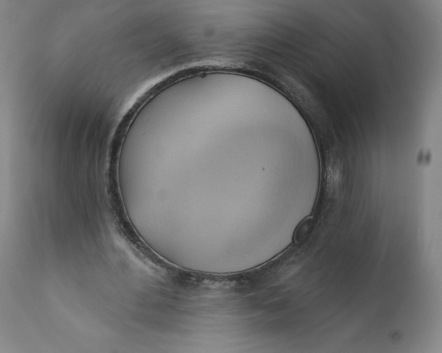 X0000110680484200907021914