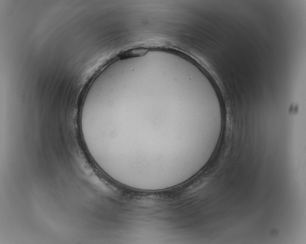 X0000110680485200907021914