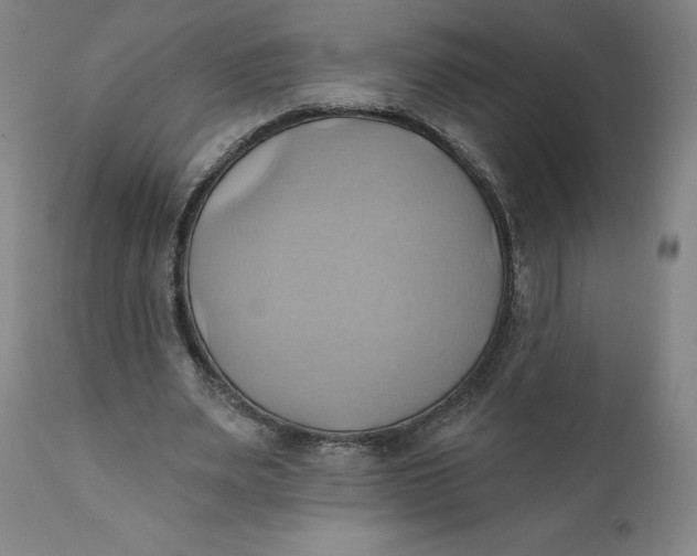 X0000110680487200907021914
