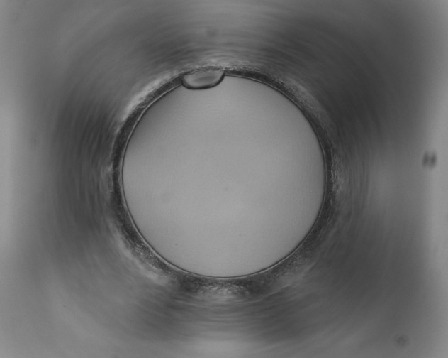 X0000110680488200907021914