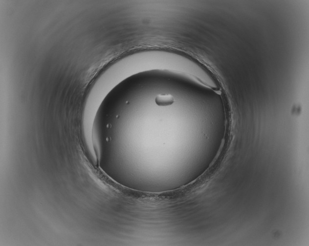 X0000110680489200907021914