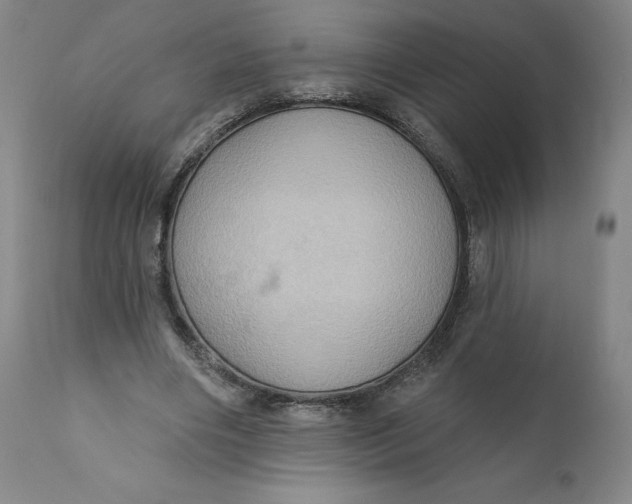 X0000110680490200907021914