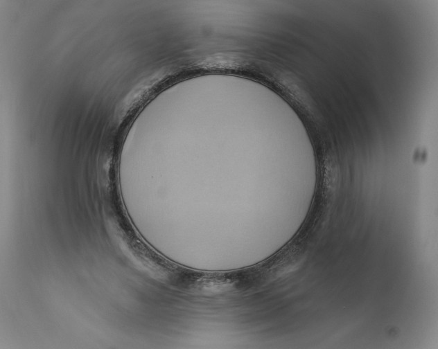 X0000110680491200907021914