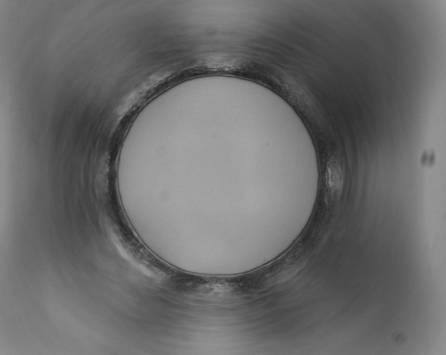 X0000110680492200907021914