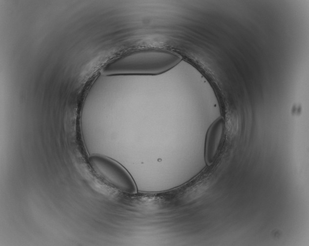 X0000110680493200907021914