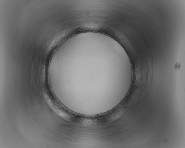 X0000110680494200907021914