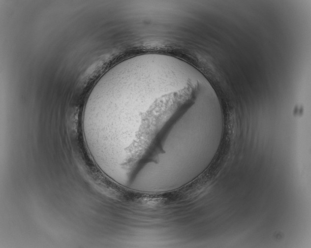 X0000110680495200907021914