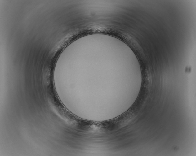 X0000110680496200907021914