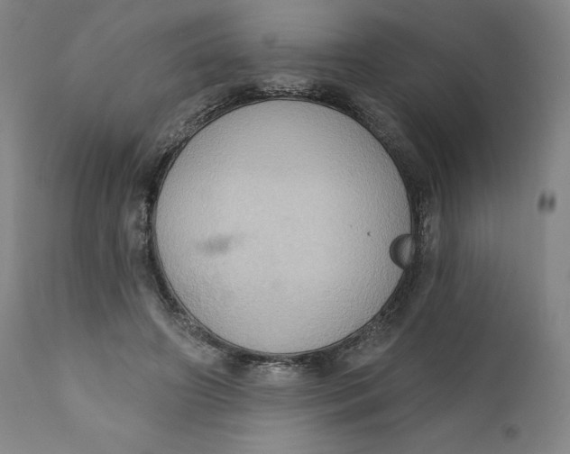 X0000110680498200907021914